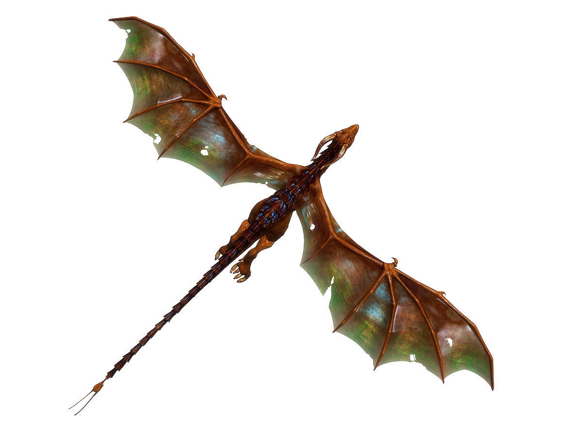 3Dfoin - Wyvern Low-poly 3D model_7