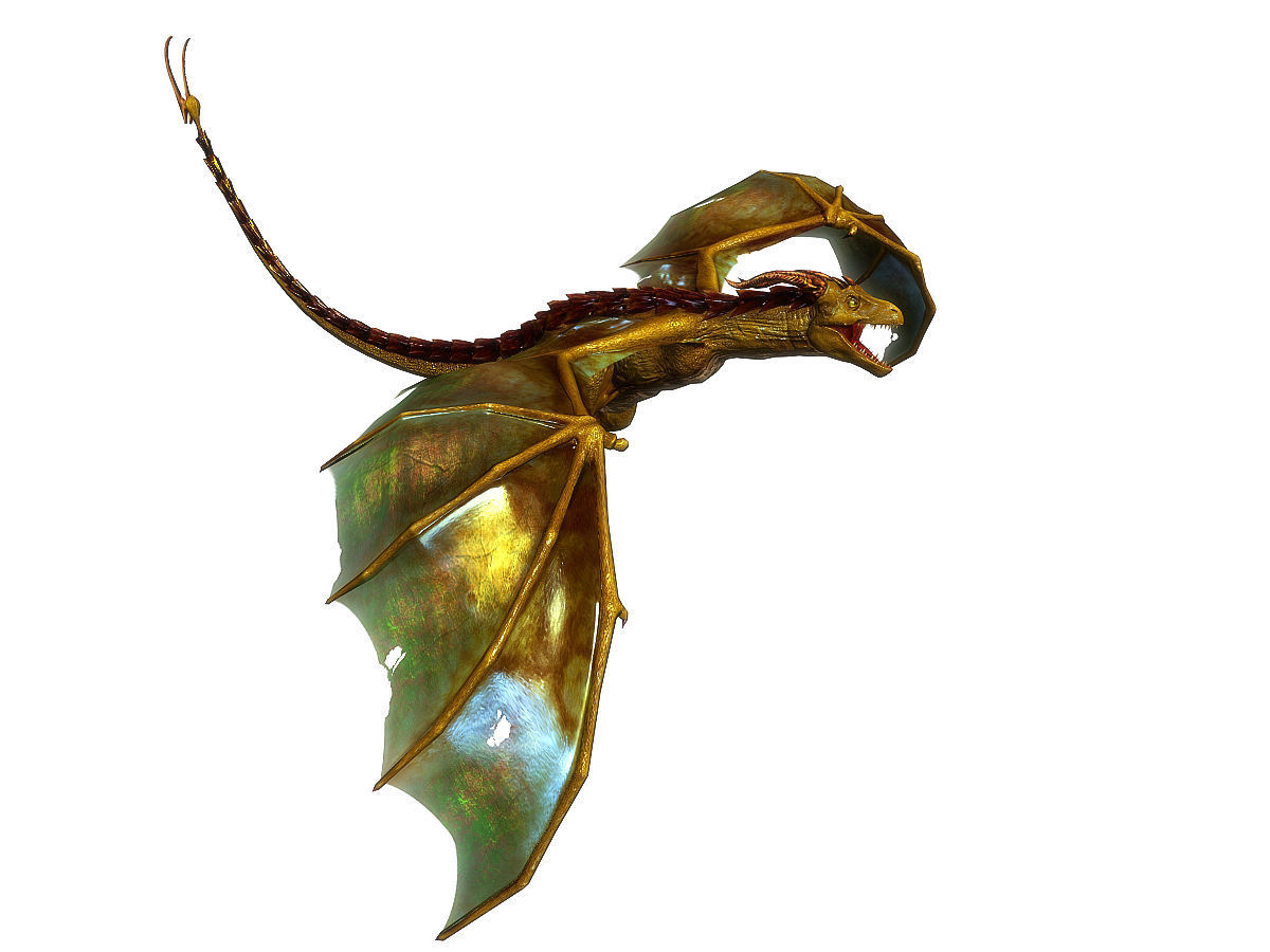 3Dfoin - Wyvern Low-poly 3D model_12