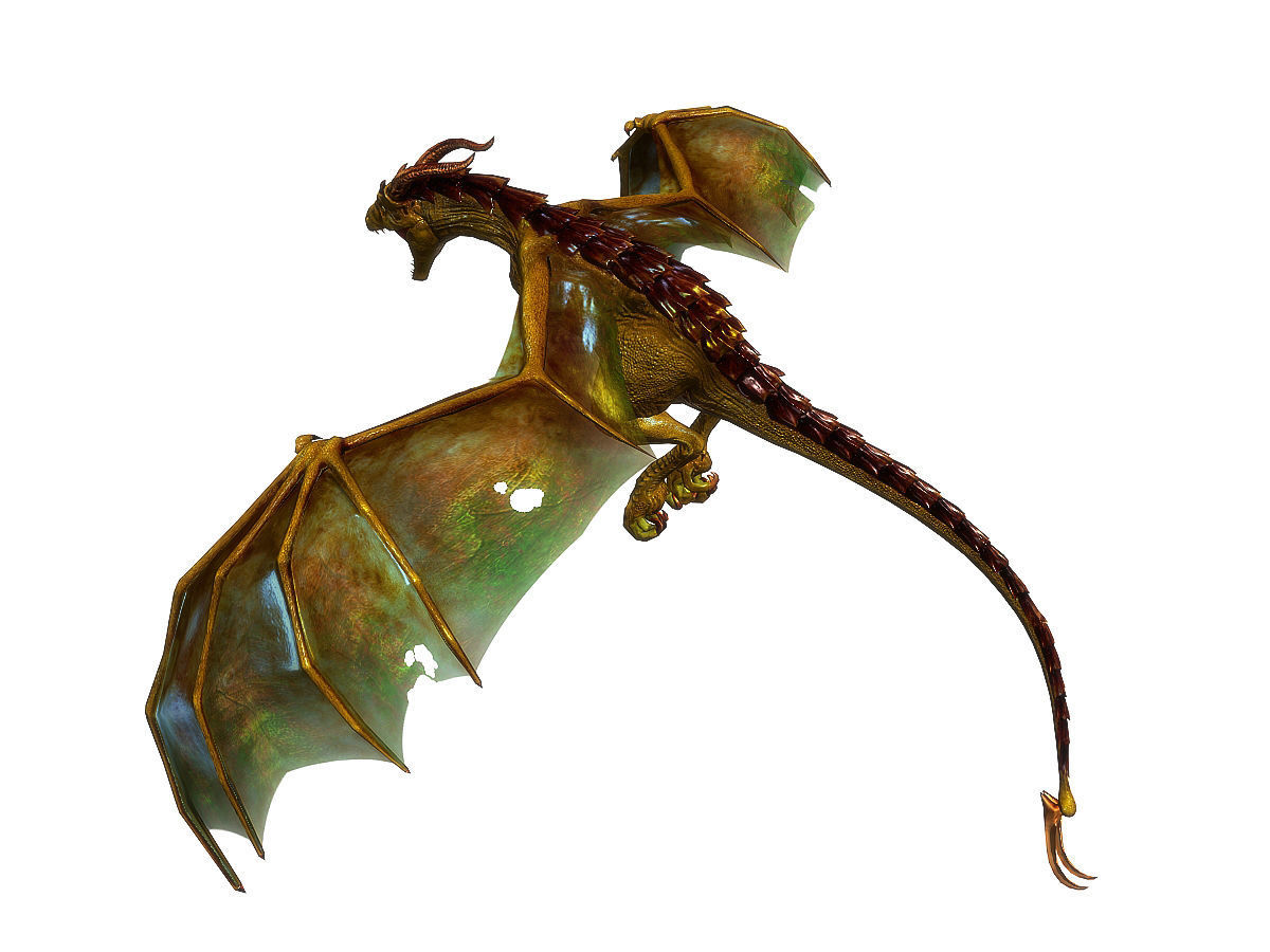 3Dfoin - Wyvern Low-poly 3D model_11