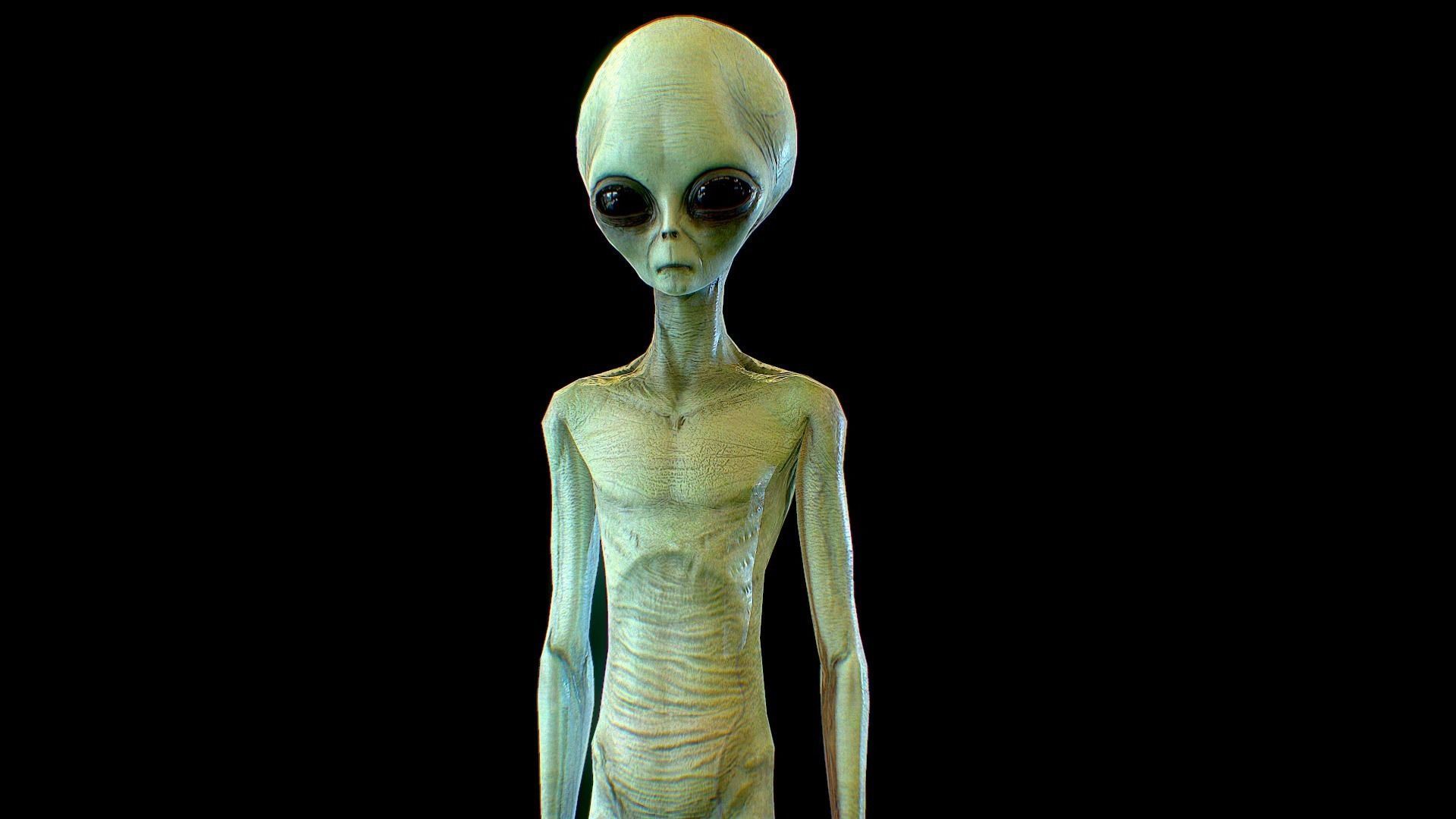 Realistic Aliens Bundle 1 Low-poly 3D model_8