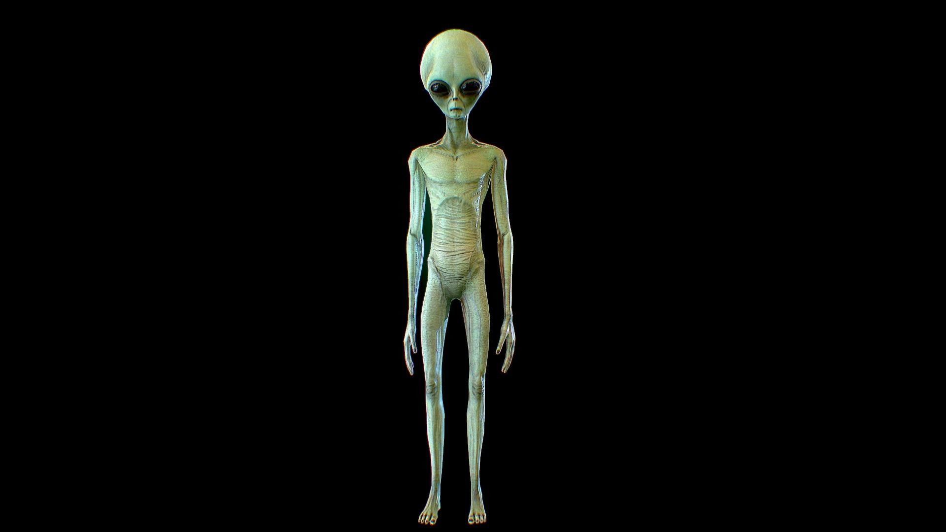 Realistic Aliens Bundle 1 Low-poly 3D model_9