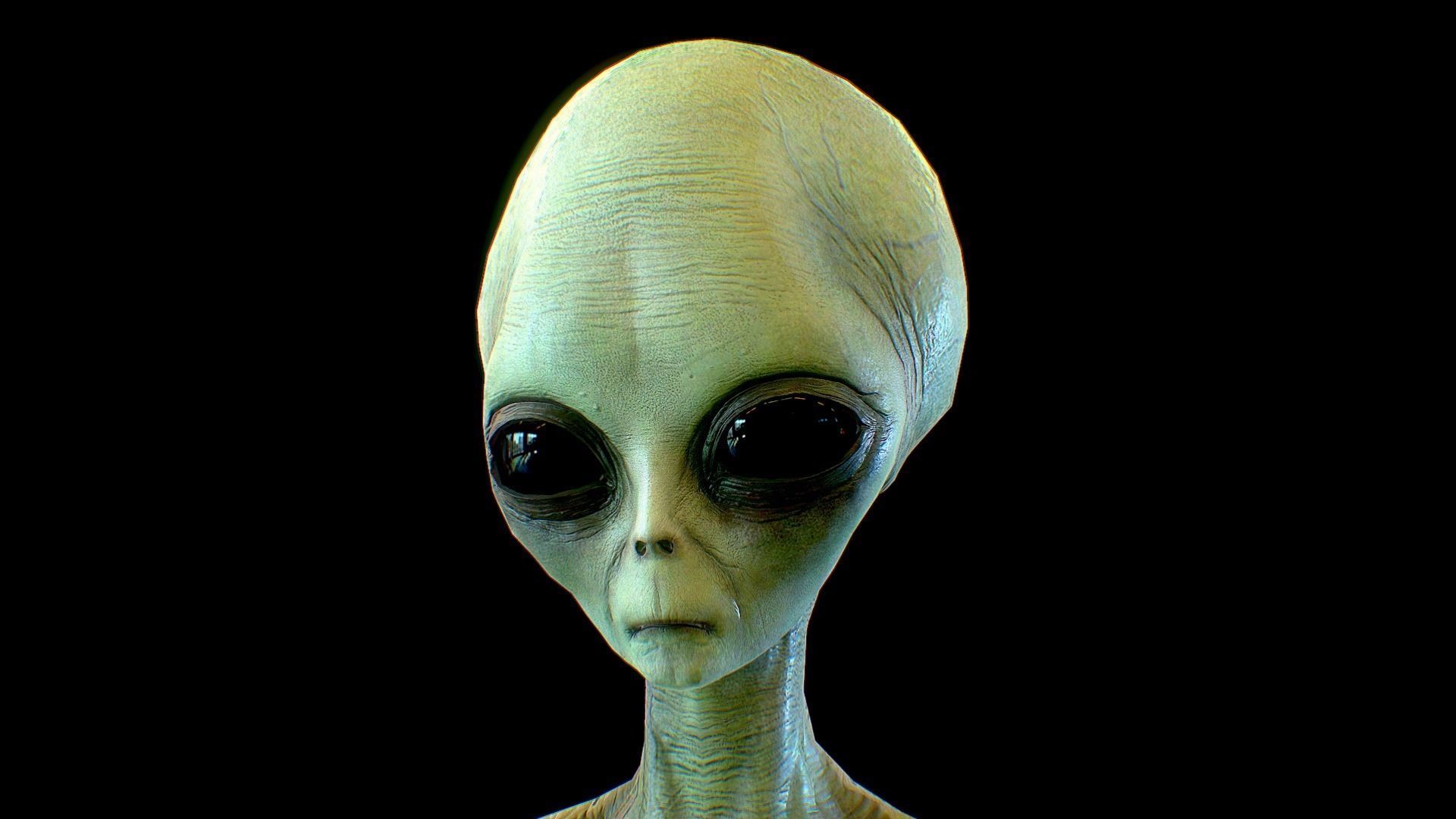 Realistic Aliens Bundle 1 Low-poly 3D model_7