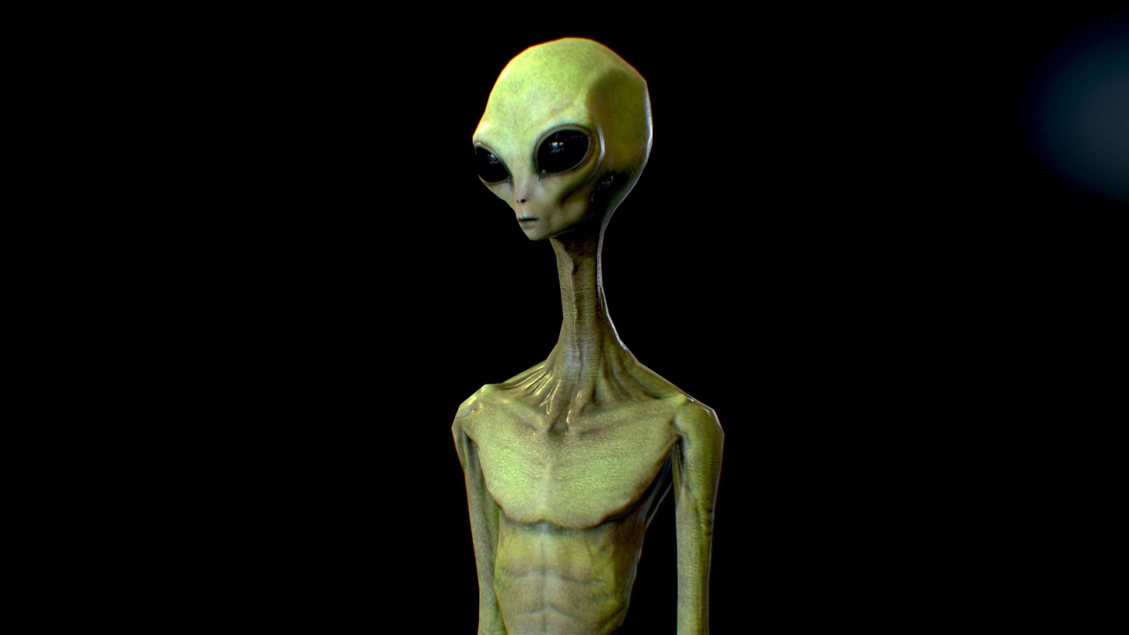 Realistic Aliens Bundle 2 Low-poly 3D model_5