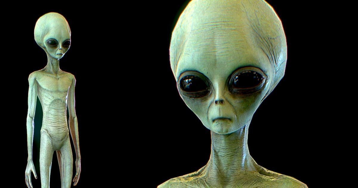 Realistic Aliens Full Pack Low-poly 3D model_5