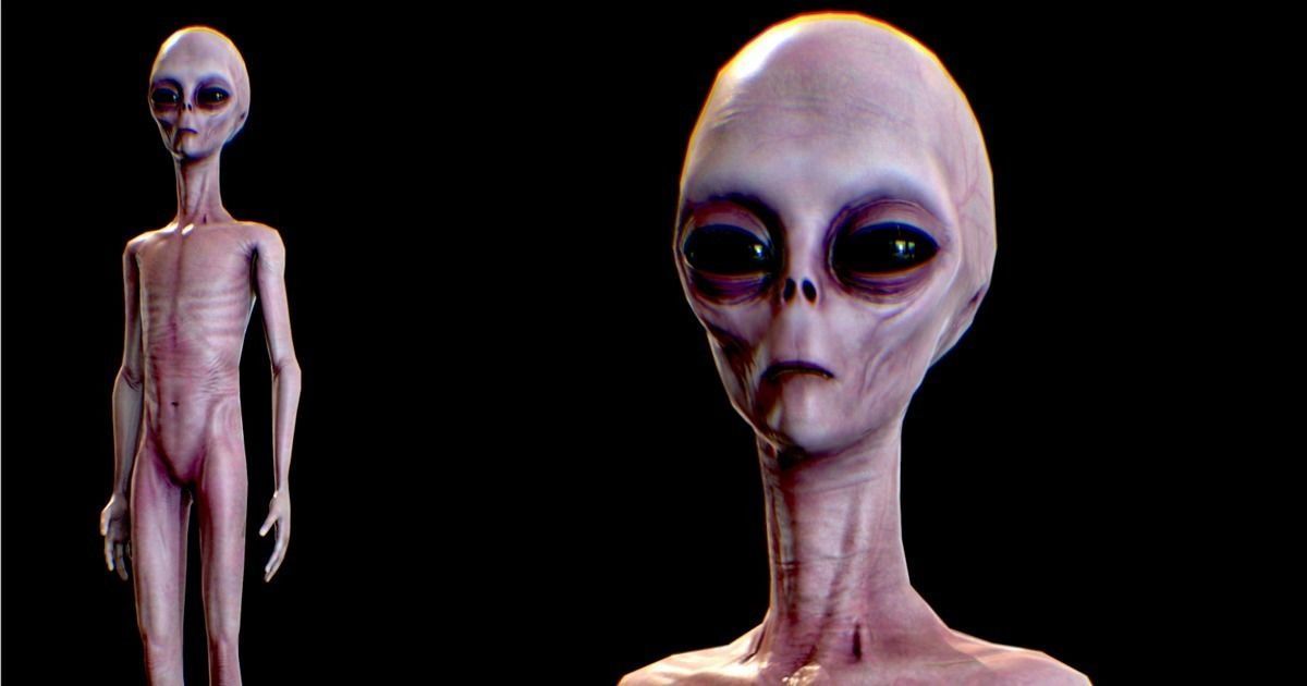 Realistic Aliens Full Pack Low-poly 3D model_7