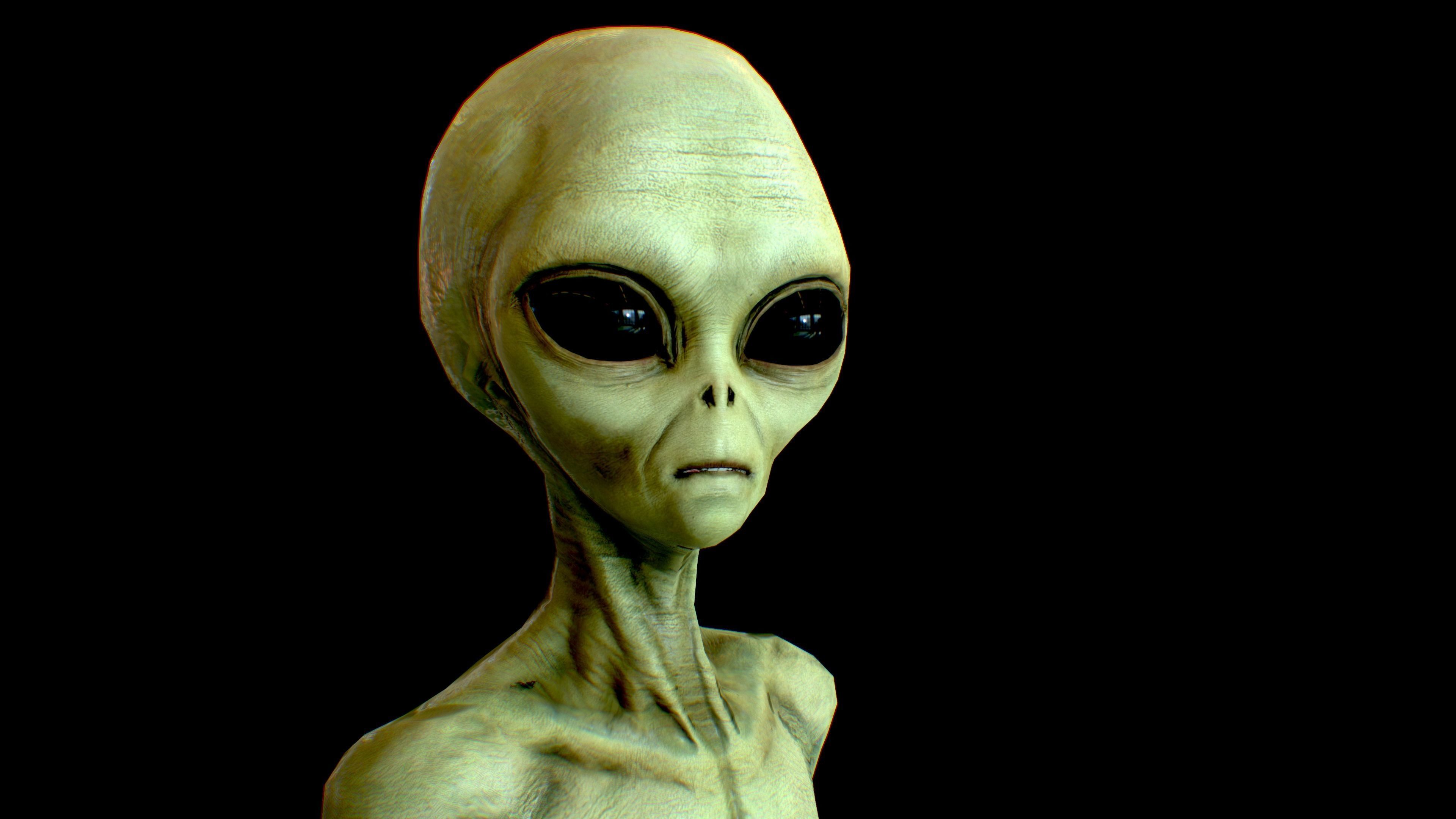 Realistic Aliens Full Pack Low-poly 3D model_38