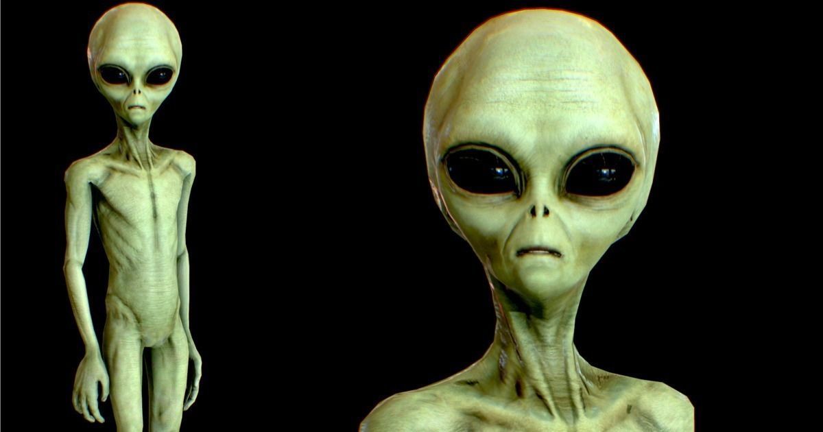 Realistic Aliens Full Pack Low-poly 3D model_11