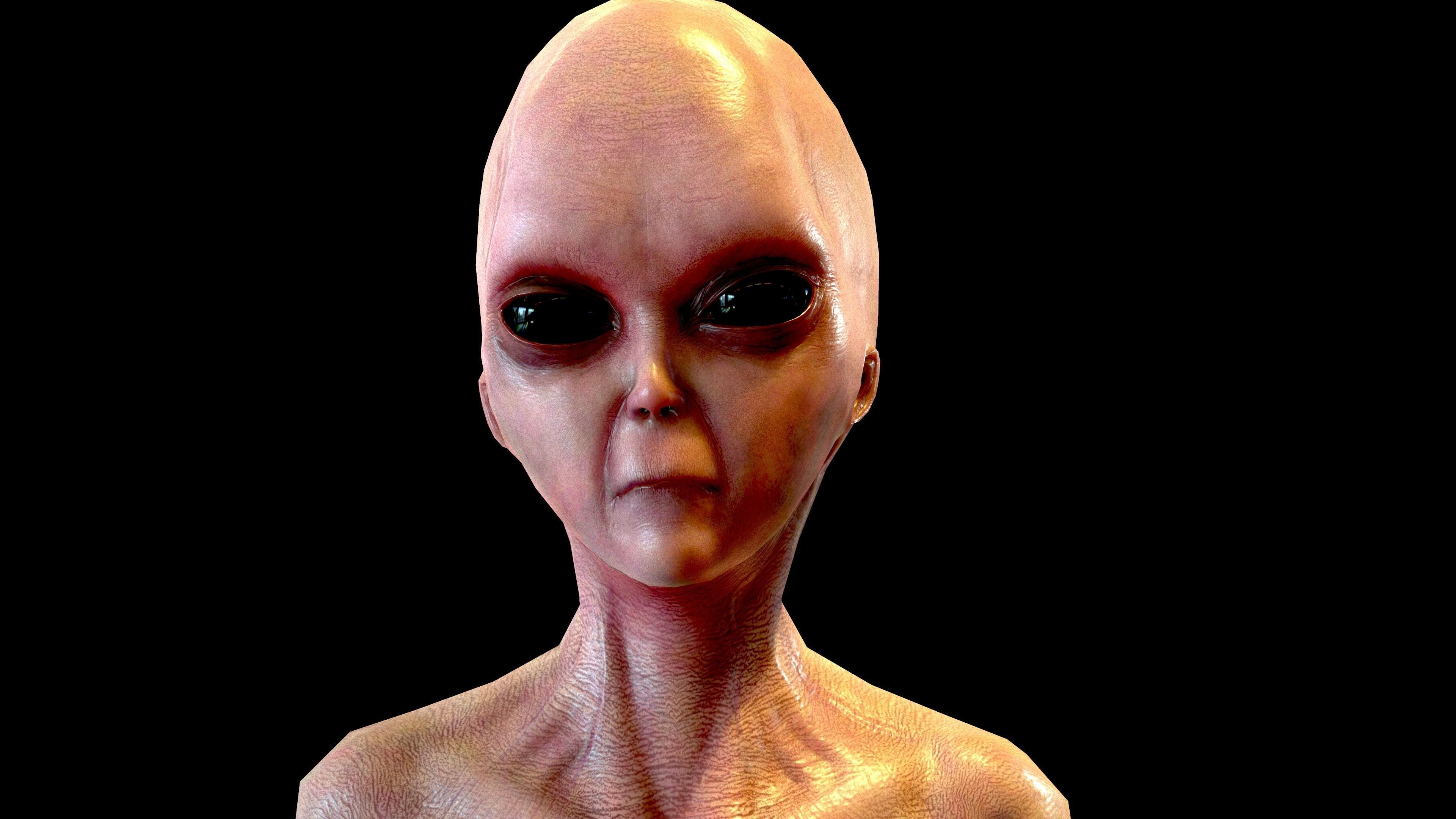 Realistic Aliens Full Pack Low-poly 3D model_14