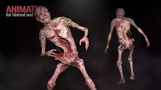 Torn Zombie Undead Ghoul