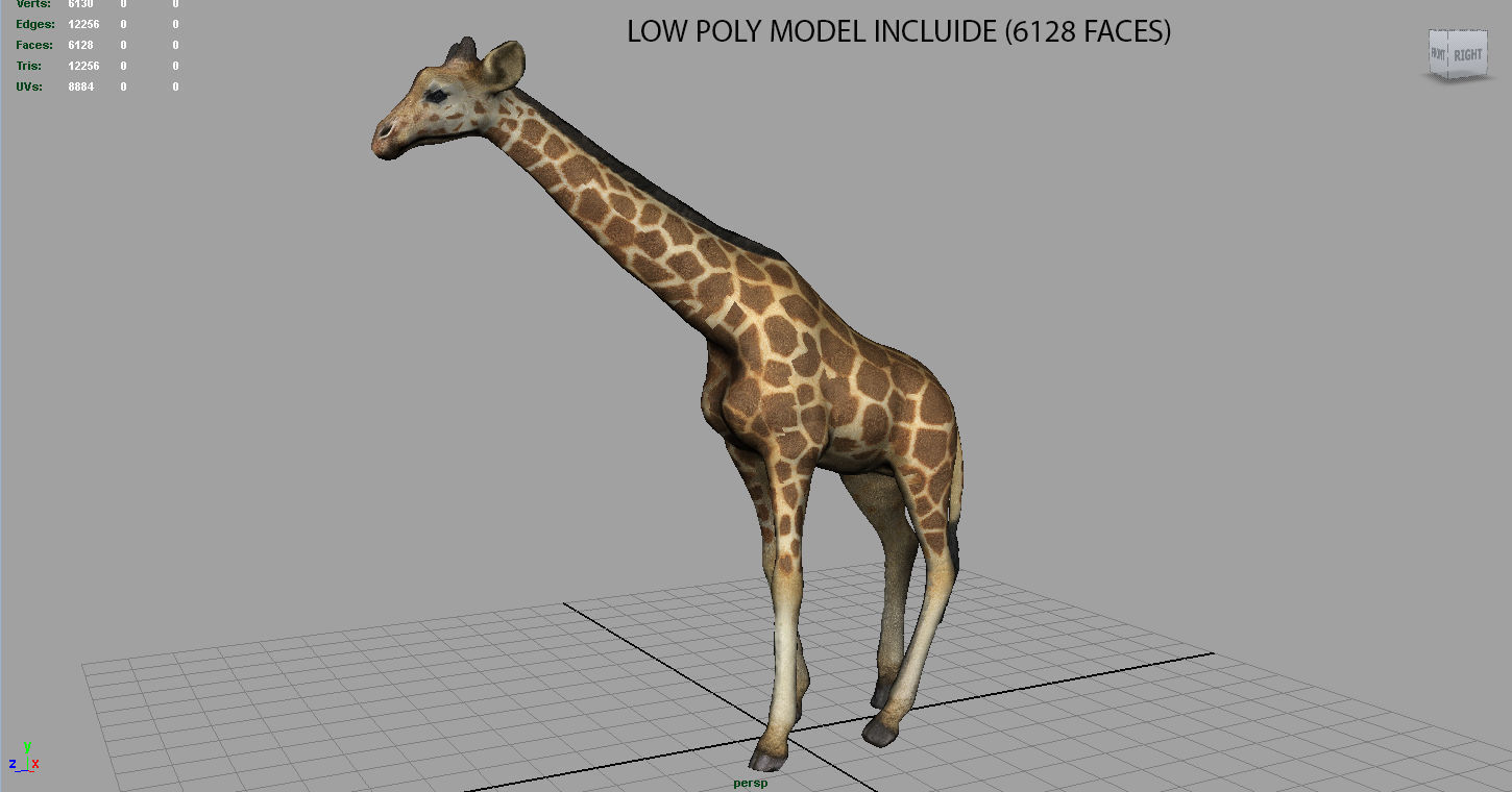 Giraffe Low-poly 3D model_12