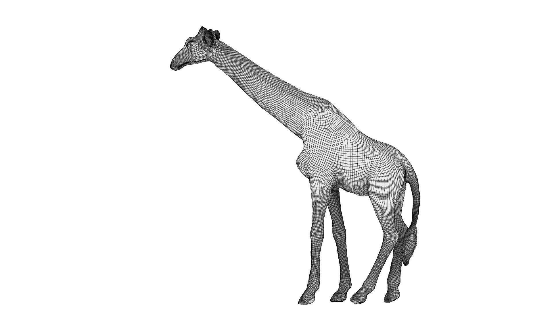 Giraffe Low-poly 3D model_8