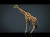 Giraffe Low-poly 3D model_1