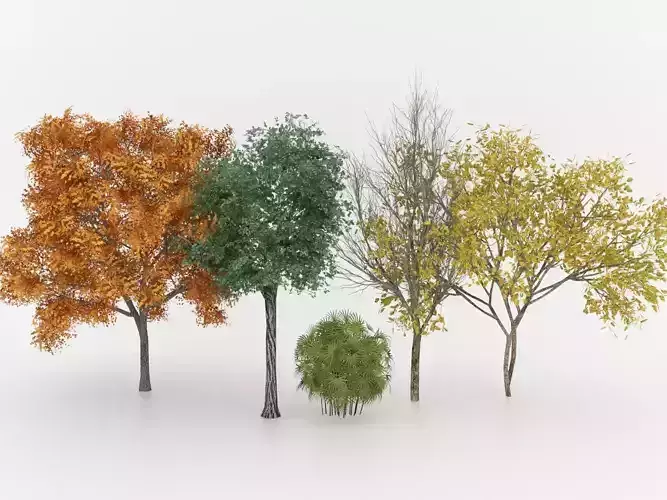 Landscape Tree Collection