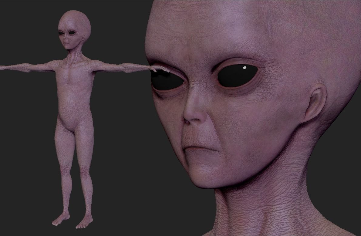 Realistic Alien 1 Sculpt 3D model_5