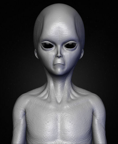 Realistic Alien 1 Sculpt 3D model