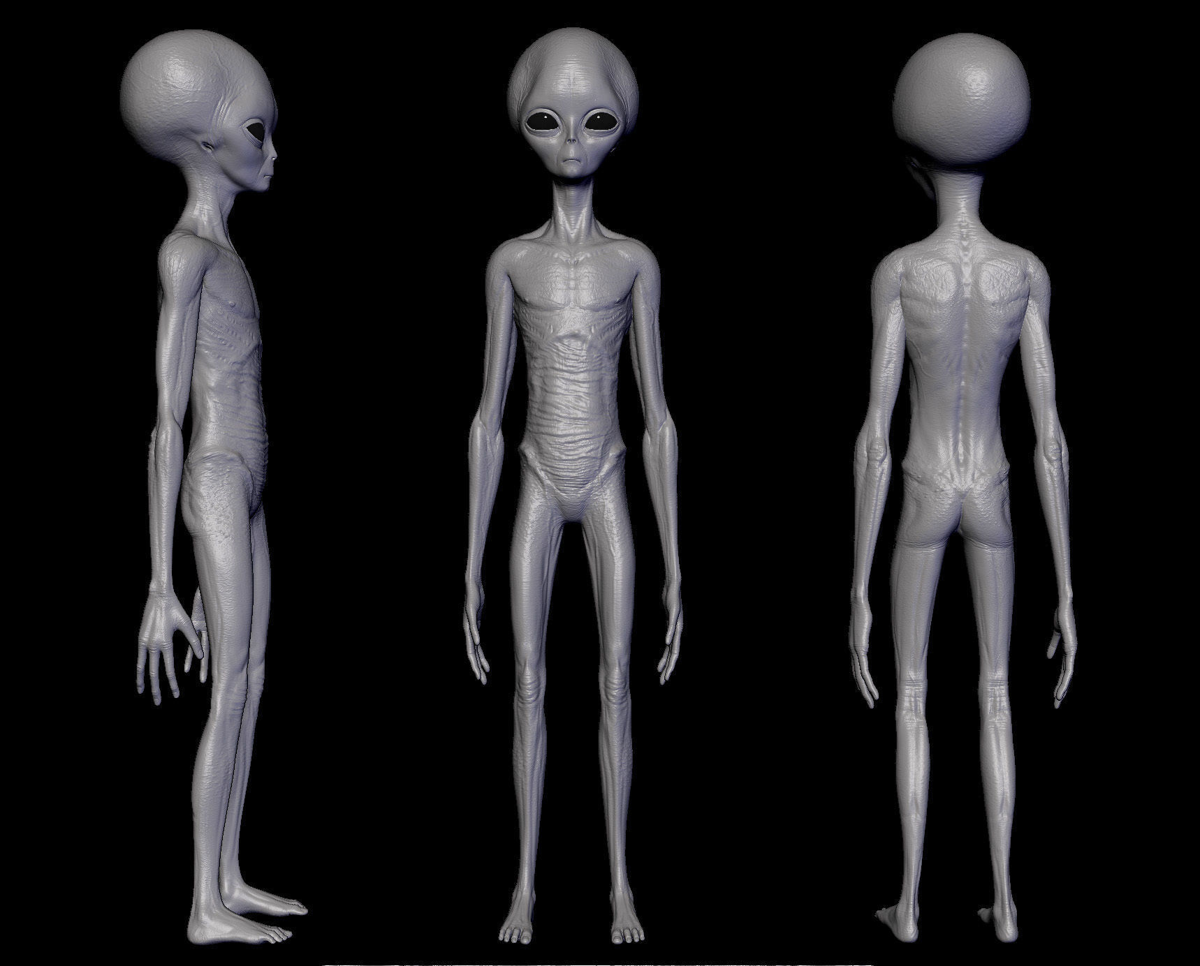 Realistic Alien 2 Sculpt 3D model_2
