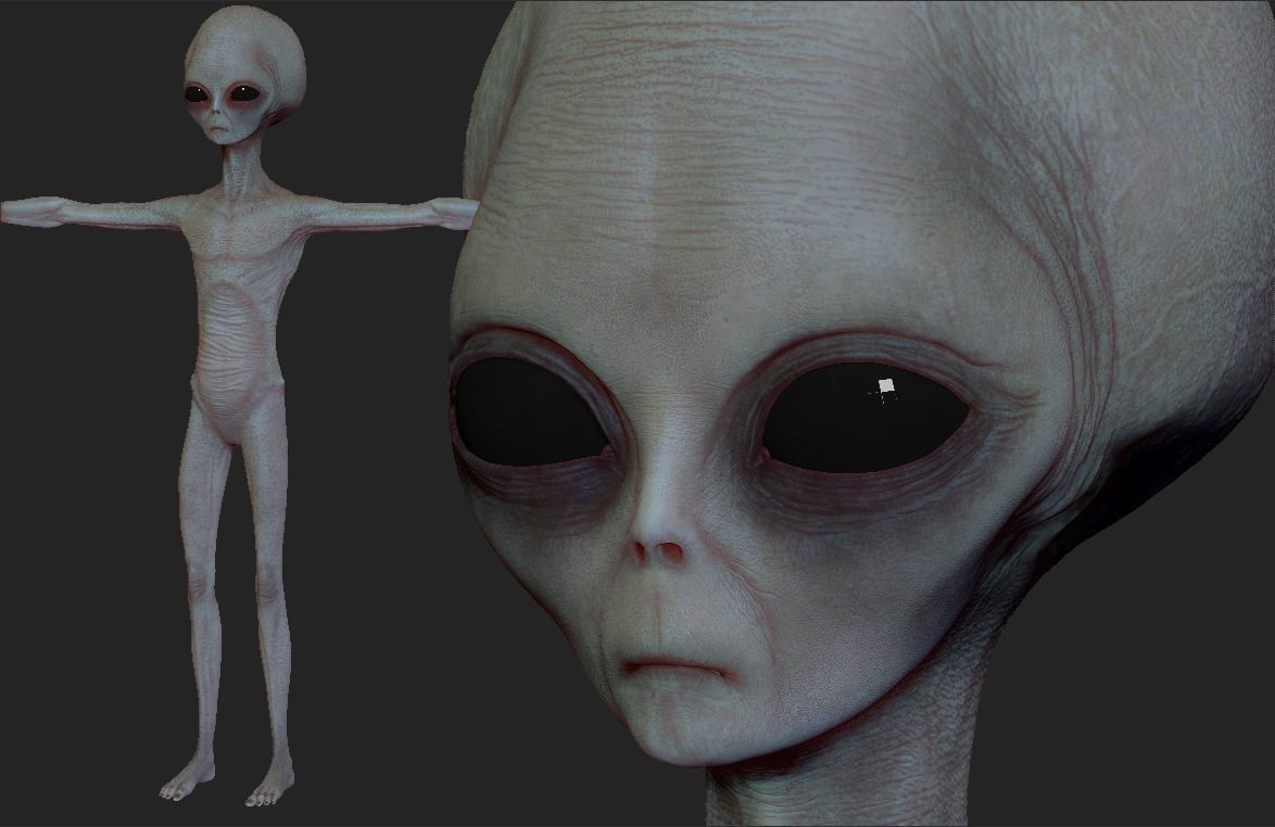 Realistic Alien 2 Sculpt 3D model_6