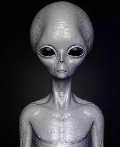 Realistic Alien 2 Sculpt 3D model