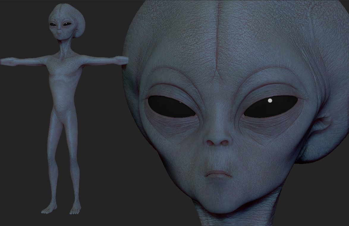Realistic Alien 3 Sculpt 3D model_8