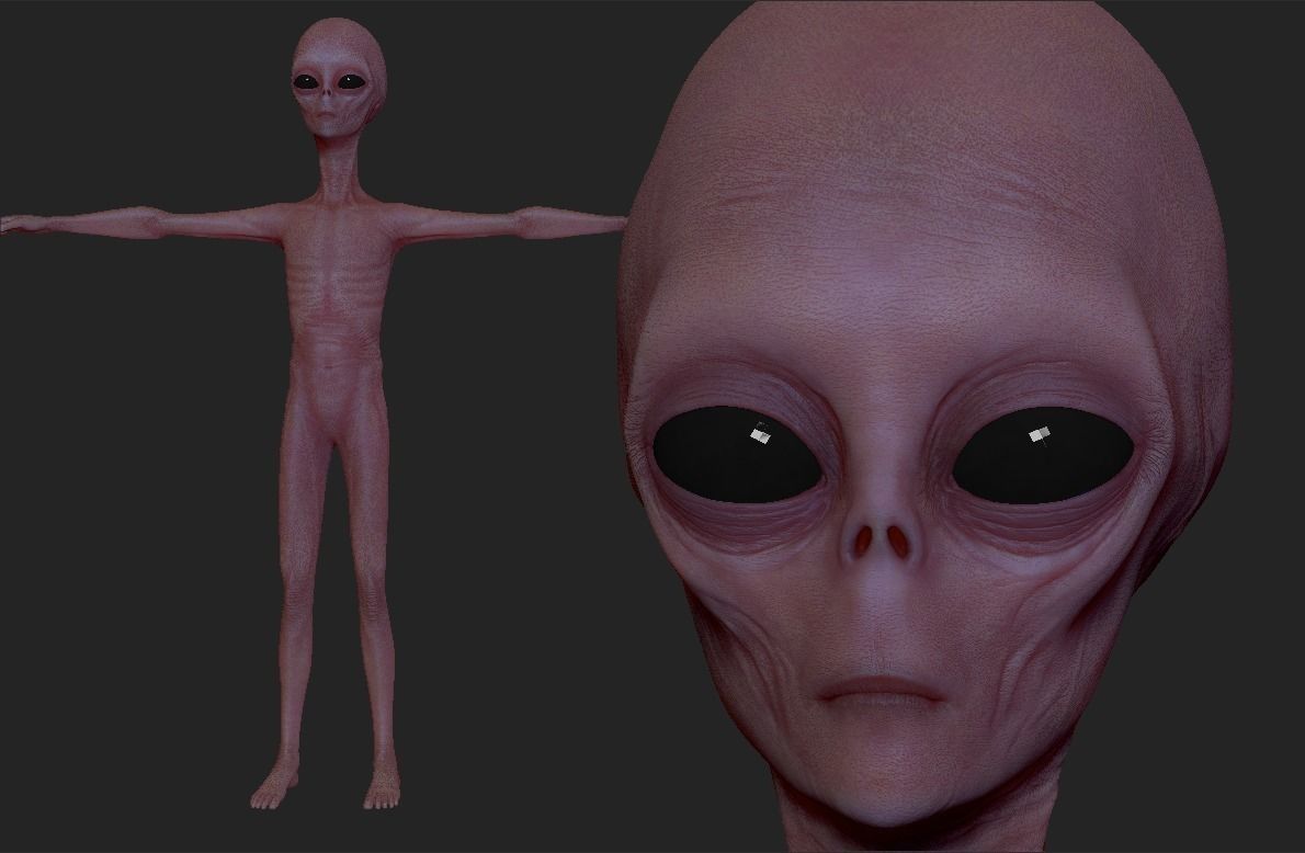 Realistic Alien 4 Sculpt 3D model_7