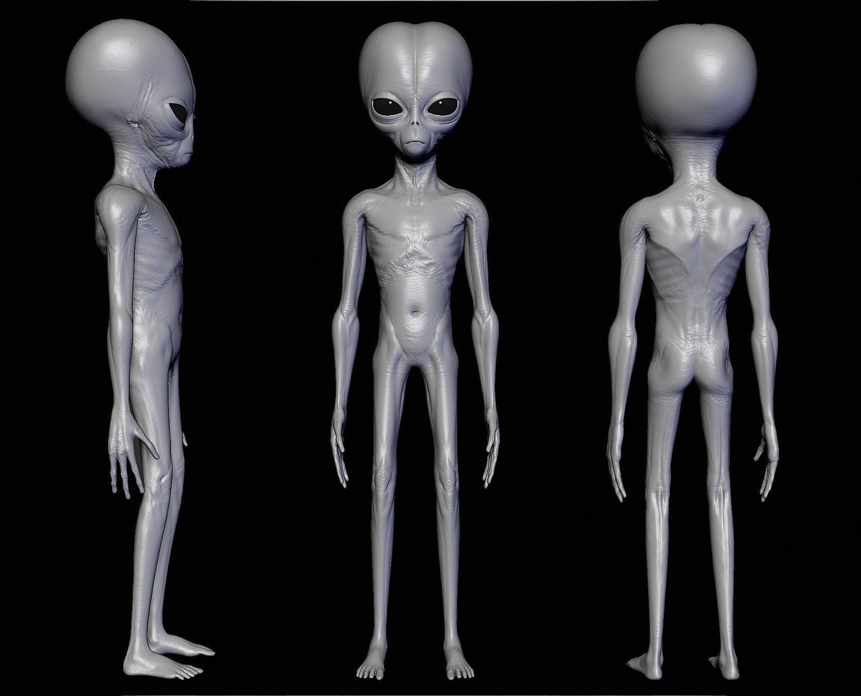 Realistic Alien 5 Sculpt 3D model_2