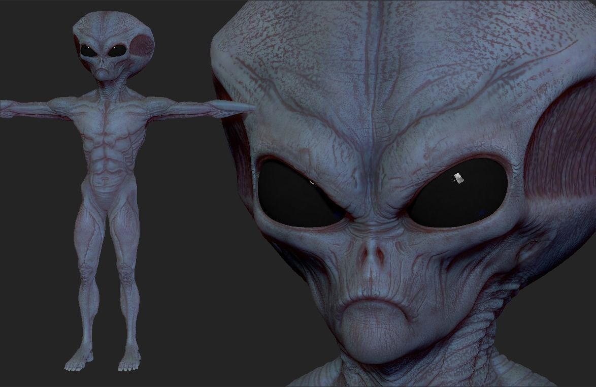 Realistic Alien 7 Sculpt 3D model_7