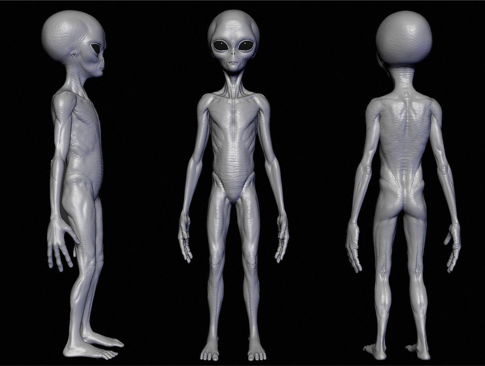 Realistic Alien 8 Sculpt 3D model_2