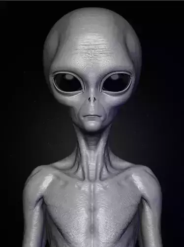 Realistic Alien 8 Sculpt 3D model