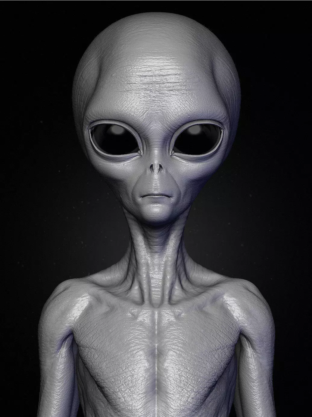 Realistic Alien 8 Sculpt 3D model_0