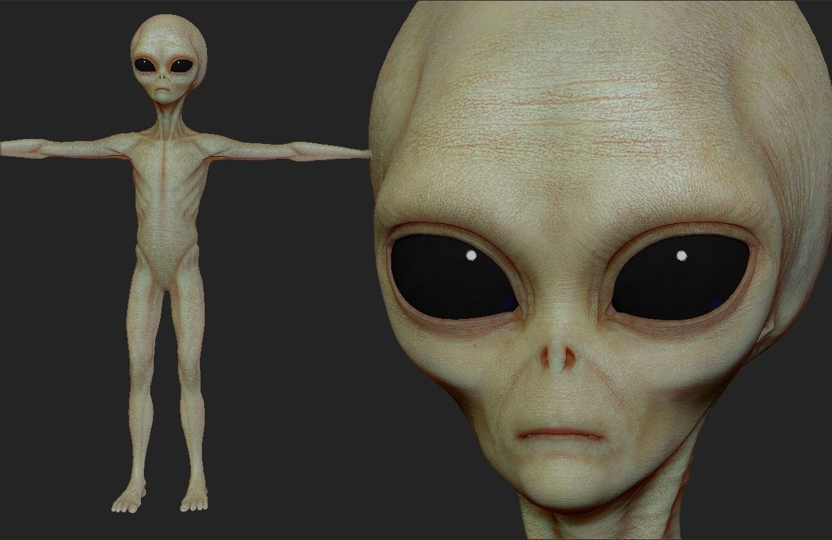 Realistic Alien 8 Sculpt 3D model_7