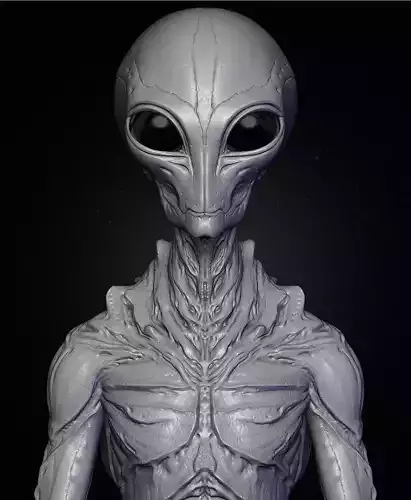 Realistic Alien 9 Sculpt 3D model