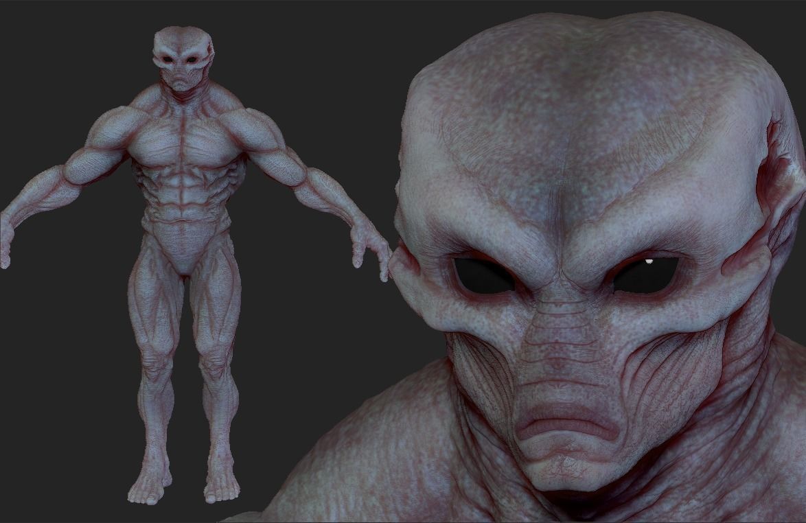 Realistic Alien 10 Sculpt 3D model_7