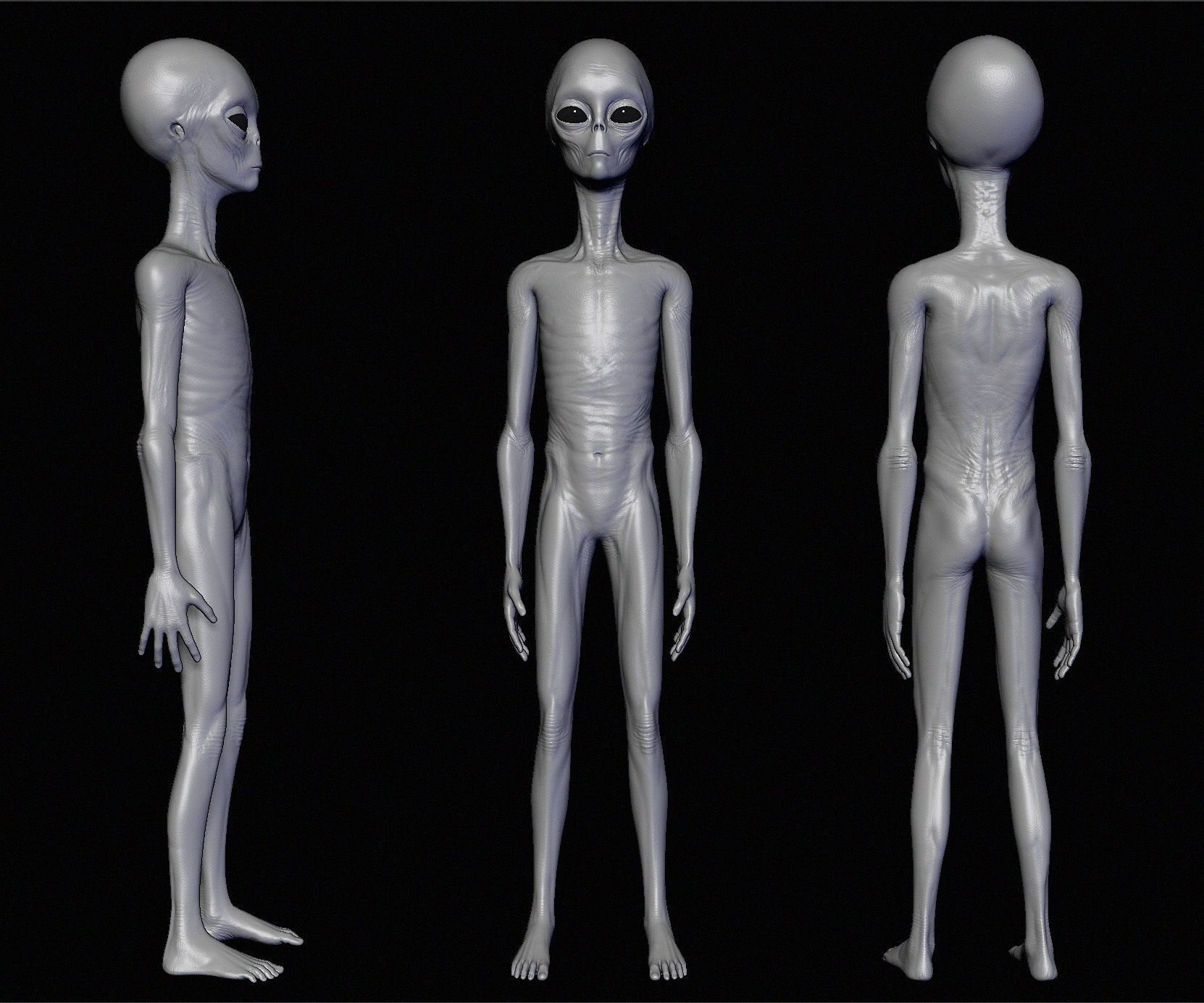 Realistic Aliens Sculpts Bundle 1 3D model_30