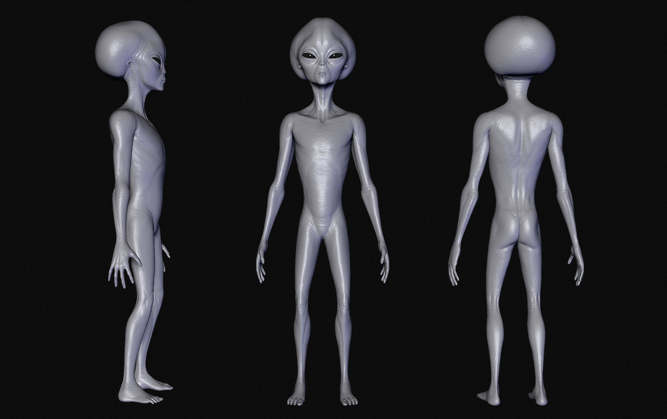 Realistic Aliens Sculpts Bundle 1 3D model_21