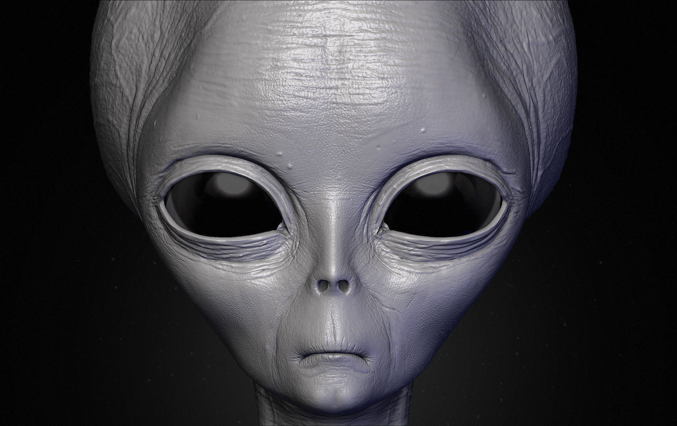 Realistic Aliens Sculpts Bundle 1 3D model_11