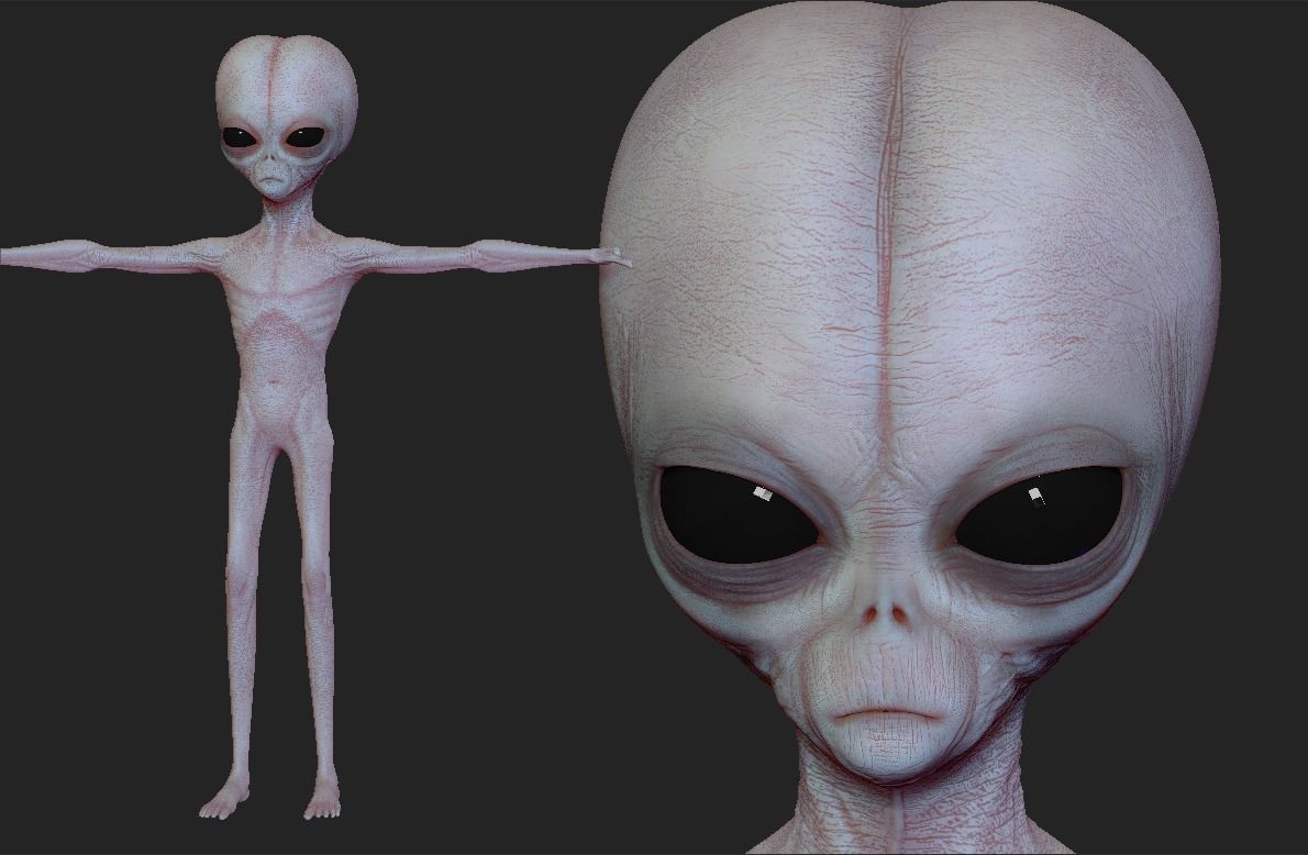 Realistic Aliens Sculpts Bundle 1 3D model_44