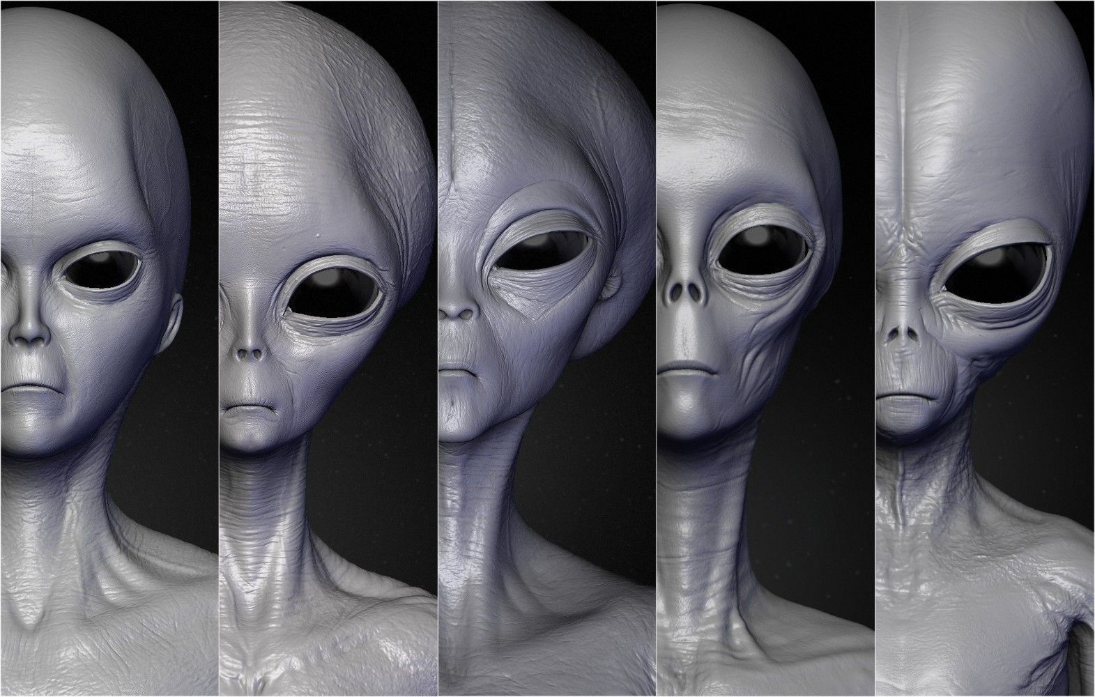 Realistic Aliens Sculpts Bundle 1 3D model_46