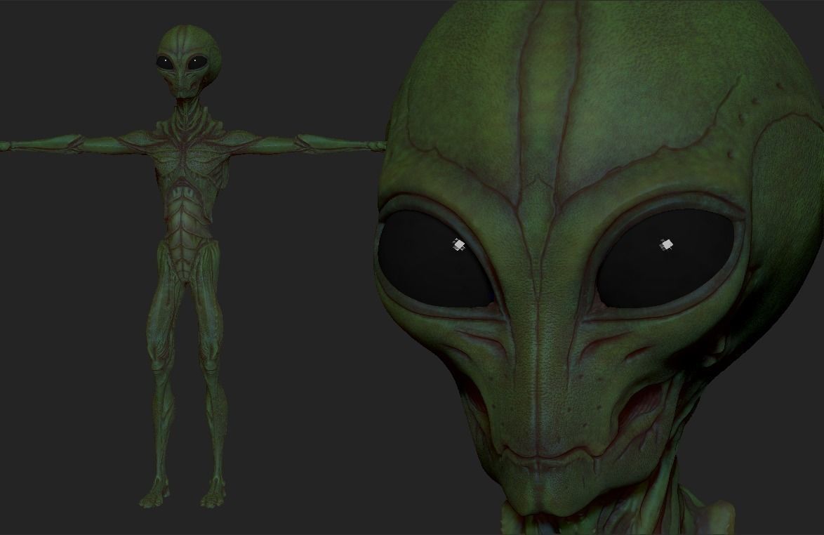 Realistic Aliens Sculpts Bundle 2 3D model_35