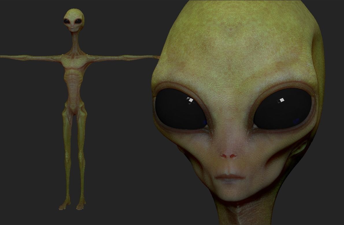 Realistic Aliens Sculpts Bundle 2 3D model_8