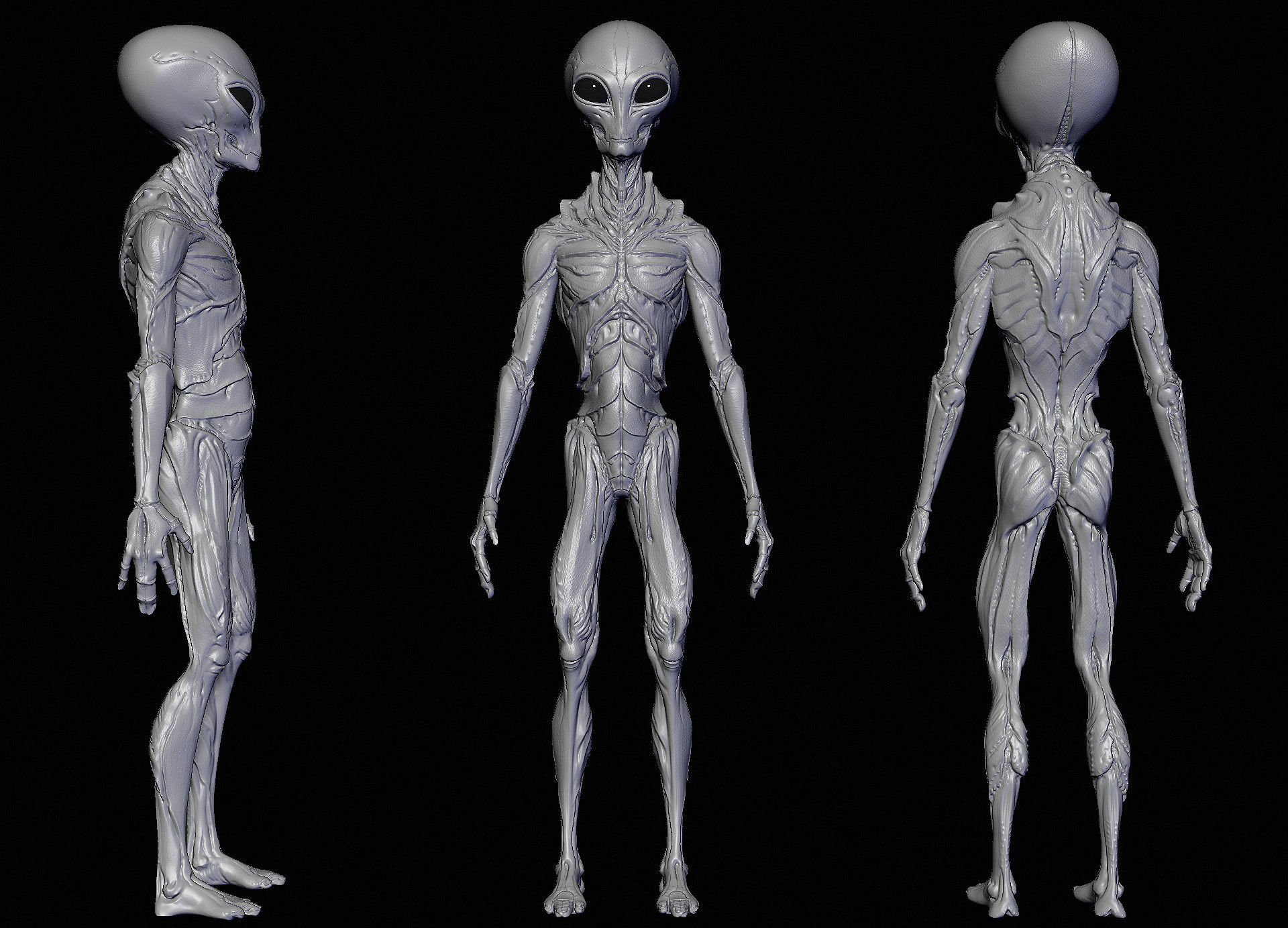 Realistic Aliens Sculpts Bundle 2 3D model_30