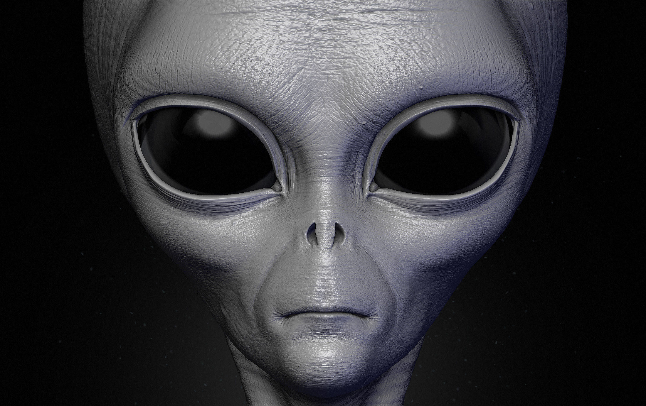 Realistic Aliens Sculpts Bundle 2 3D model_20