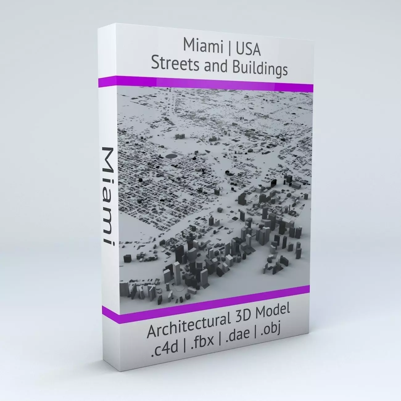 Miami Streets and Buildings 3D model_0