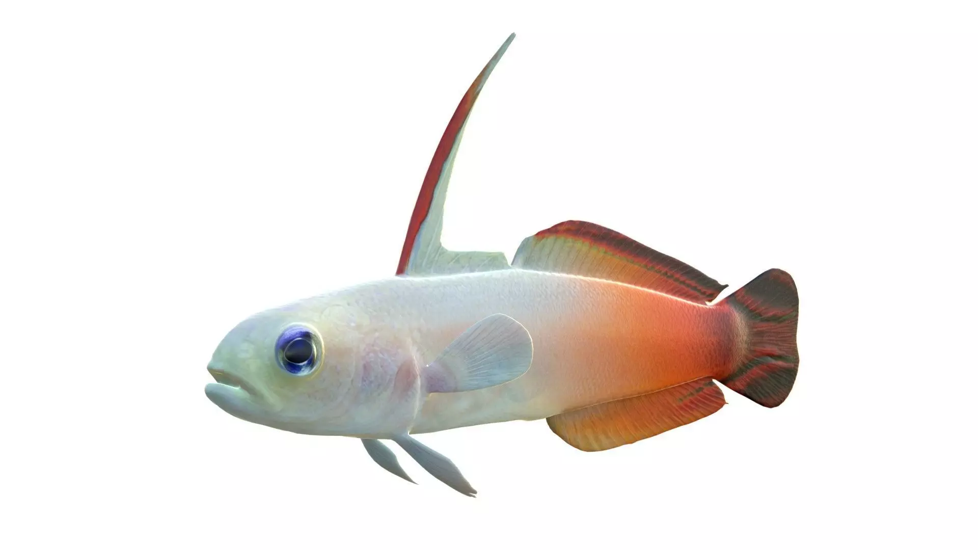 Fire Goby fish Low-poly 3D model