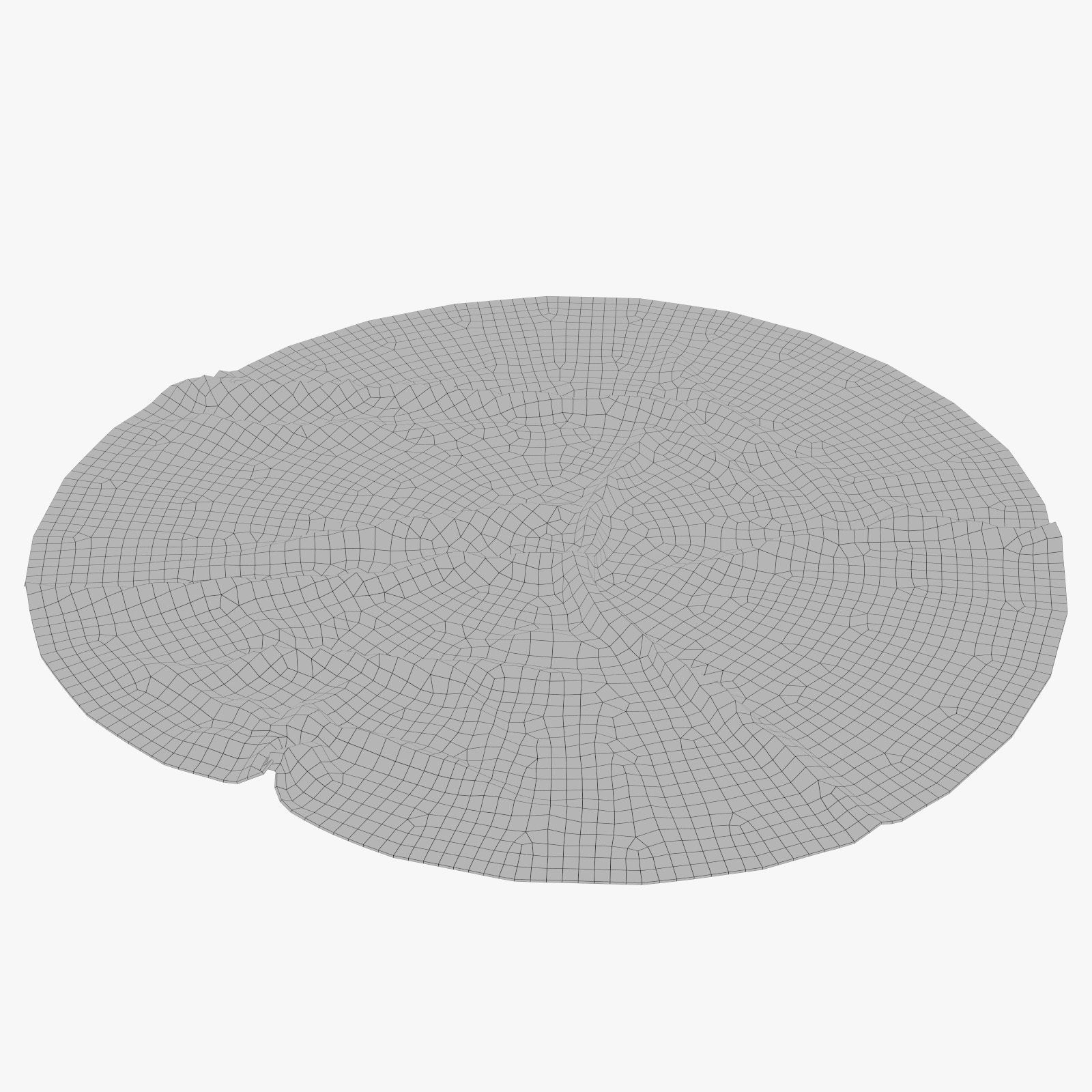 Anderson Rug 3D model_9