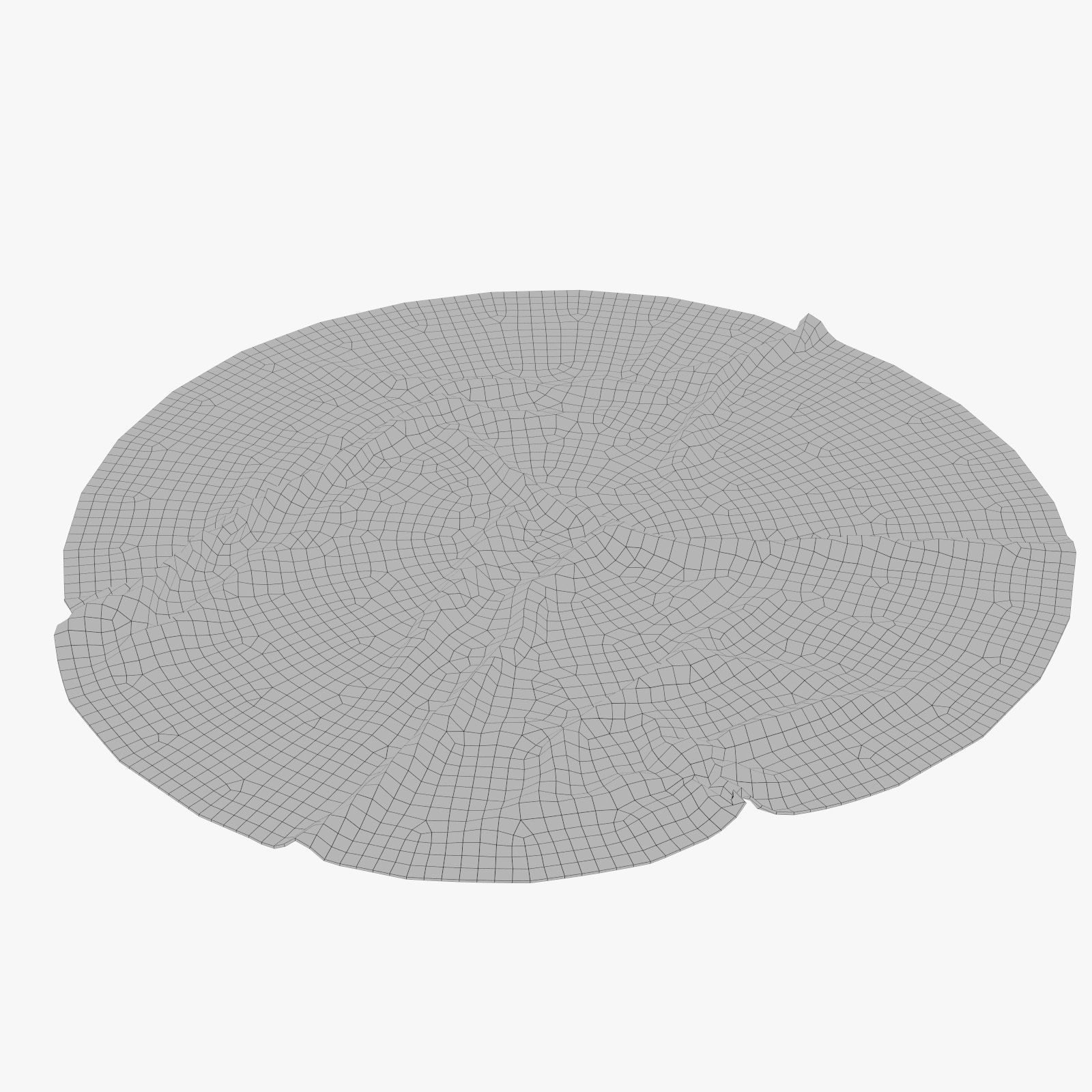 Anderson Rug 3D model_8