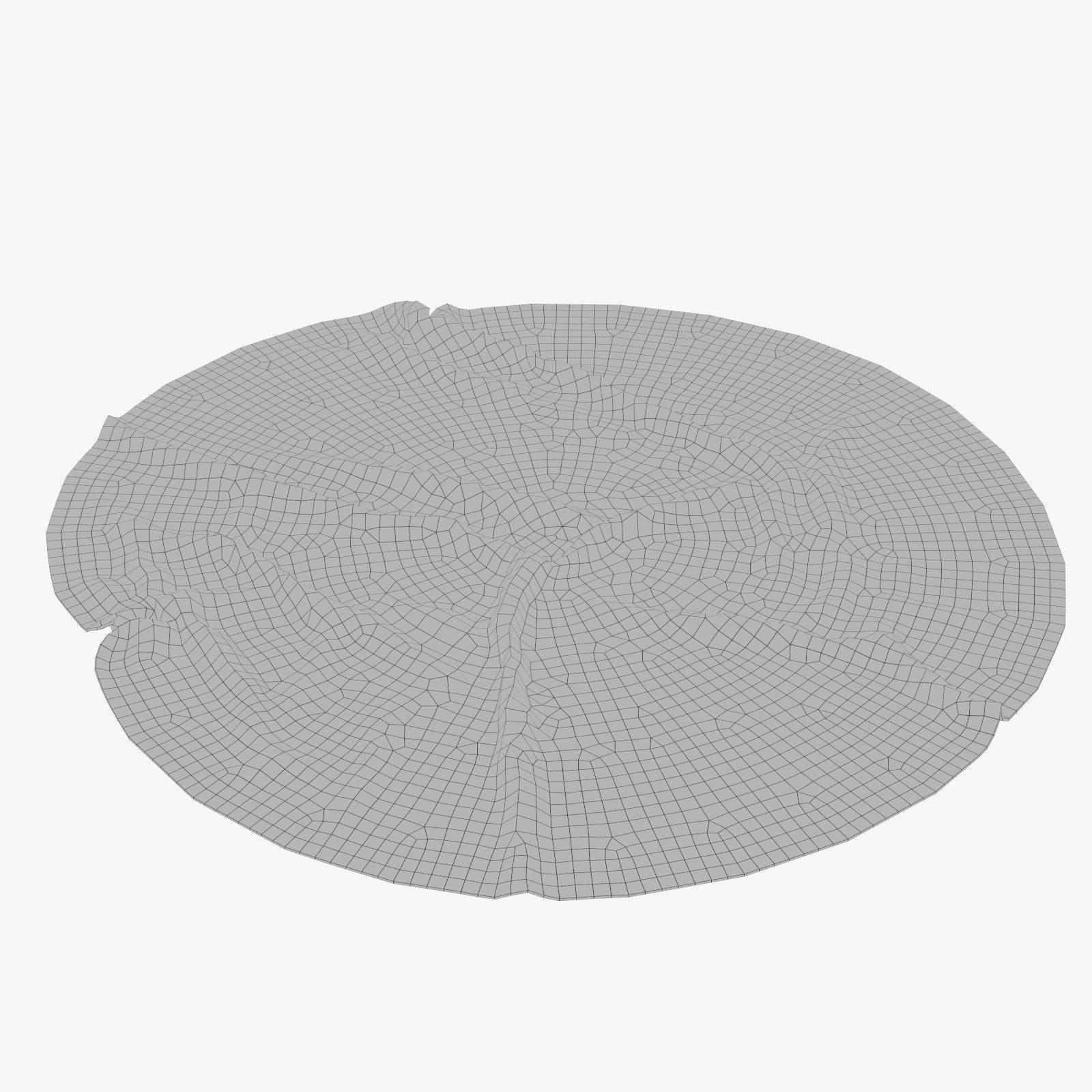 Anderson Rug 3D model_7