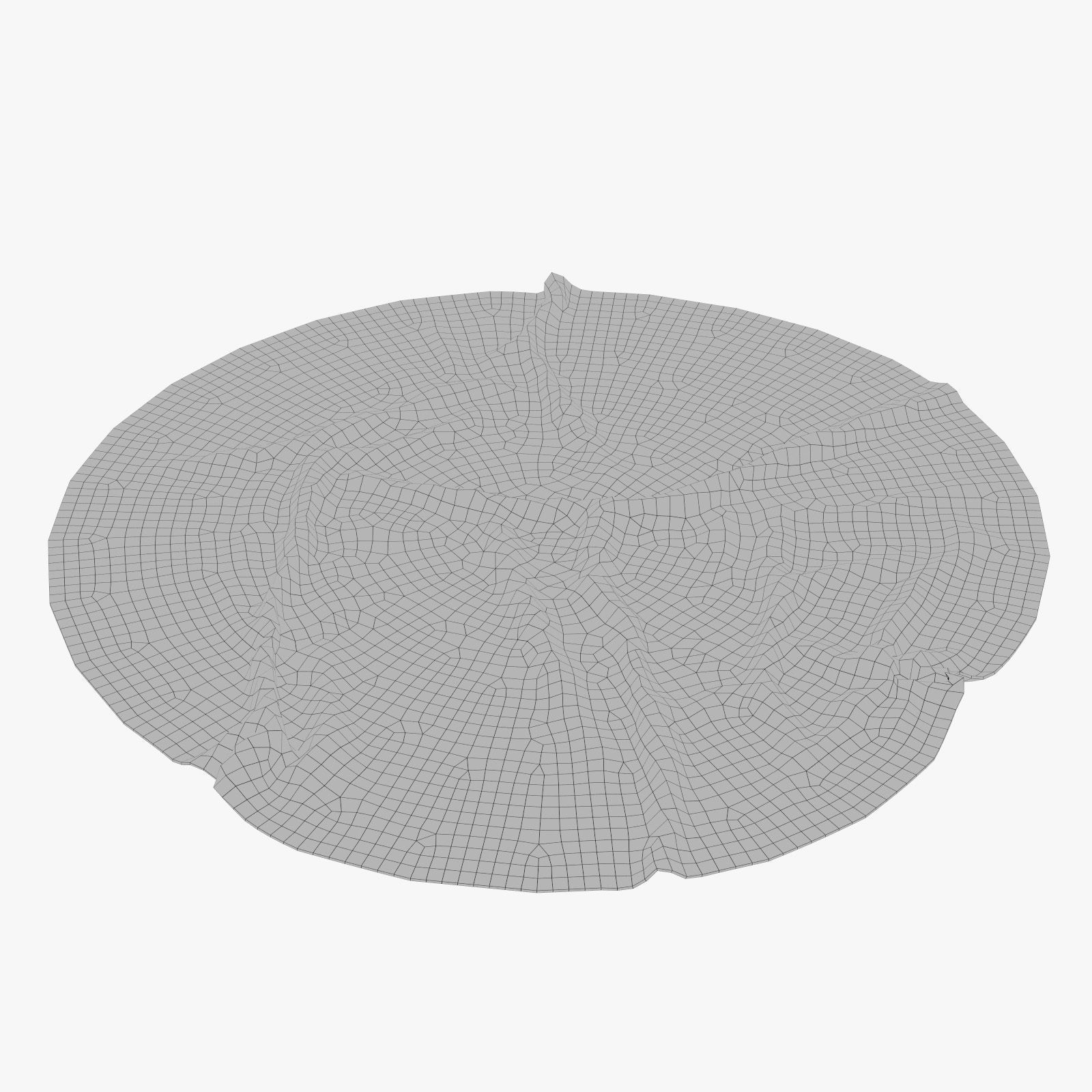 Anderson Rug 3D model_11