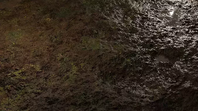 Marsh 8K PBR Texture