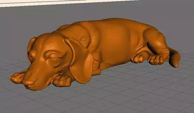 Adorable sleeping Dachshund