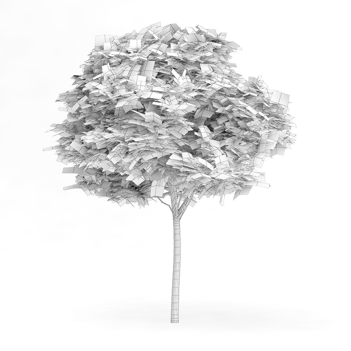 Catalpa Catalpa Scop 6m 3D model_1